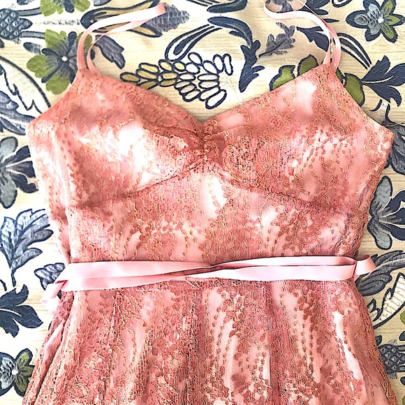 AnnTaylor Rosé Gold Lace Dance Party Champagne Cocktail Dress - Picture 1 of 13